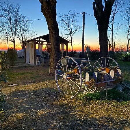 La Casa Di Bruno Lägenhet Piove di Sacco Exteriör bild
